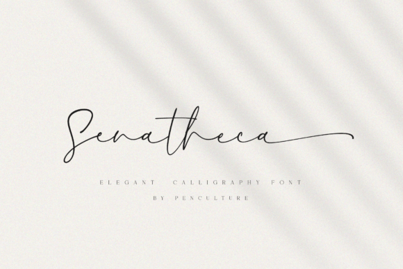 Senatheca: An Elegant Calligraphy Font for Thoughtful Branding
