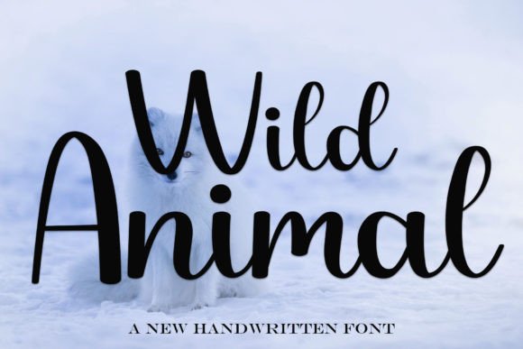 Wild Animal Font: A Handwritten Script That Elevates Digital Branding